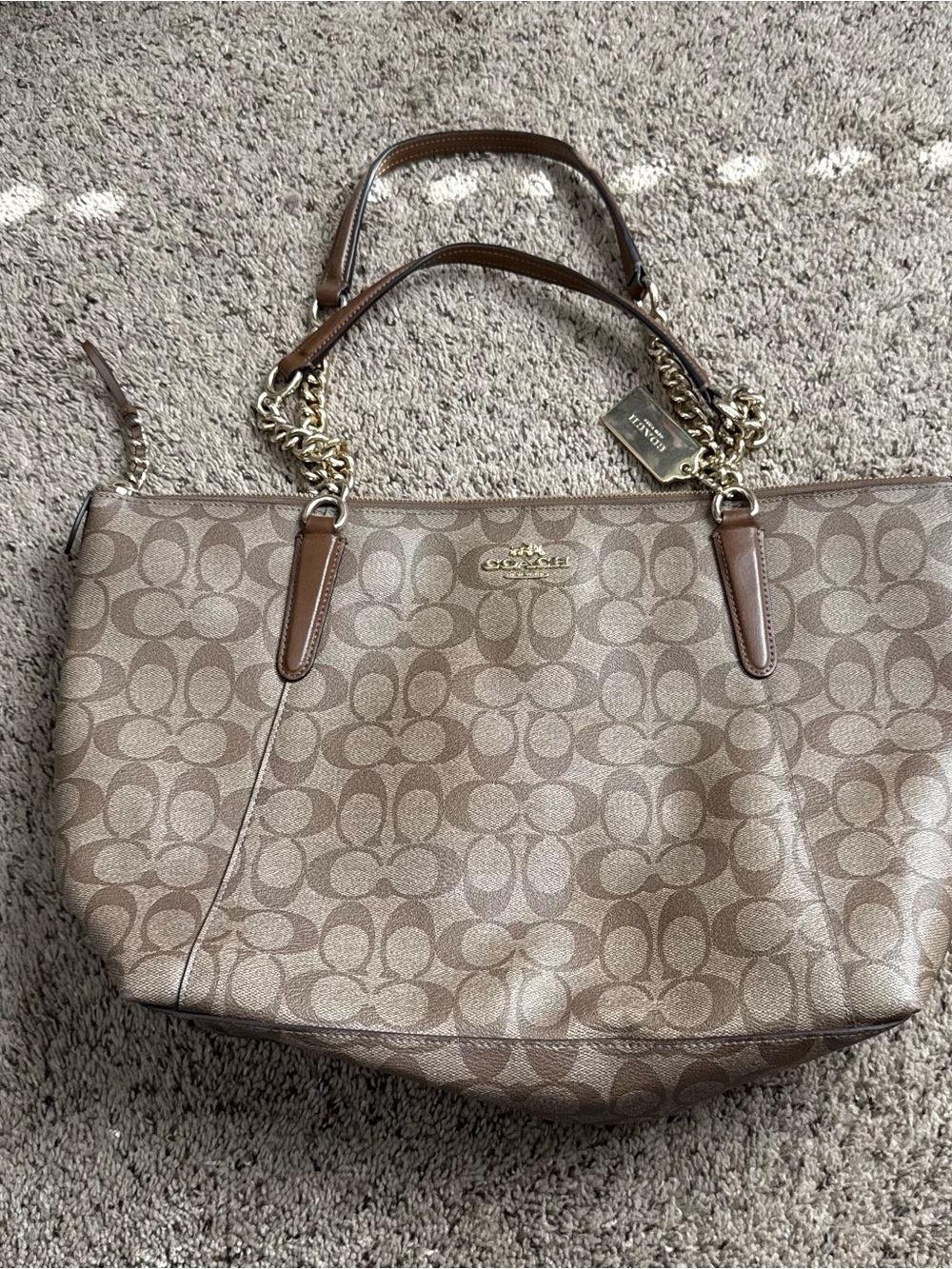 Coach Signature Canvas Tote Bag in Brown